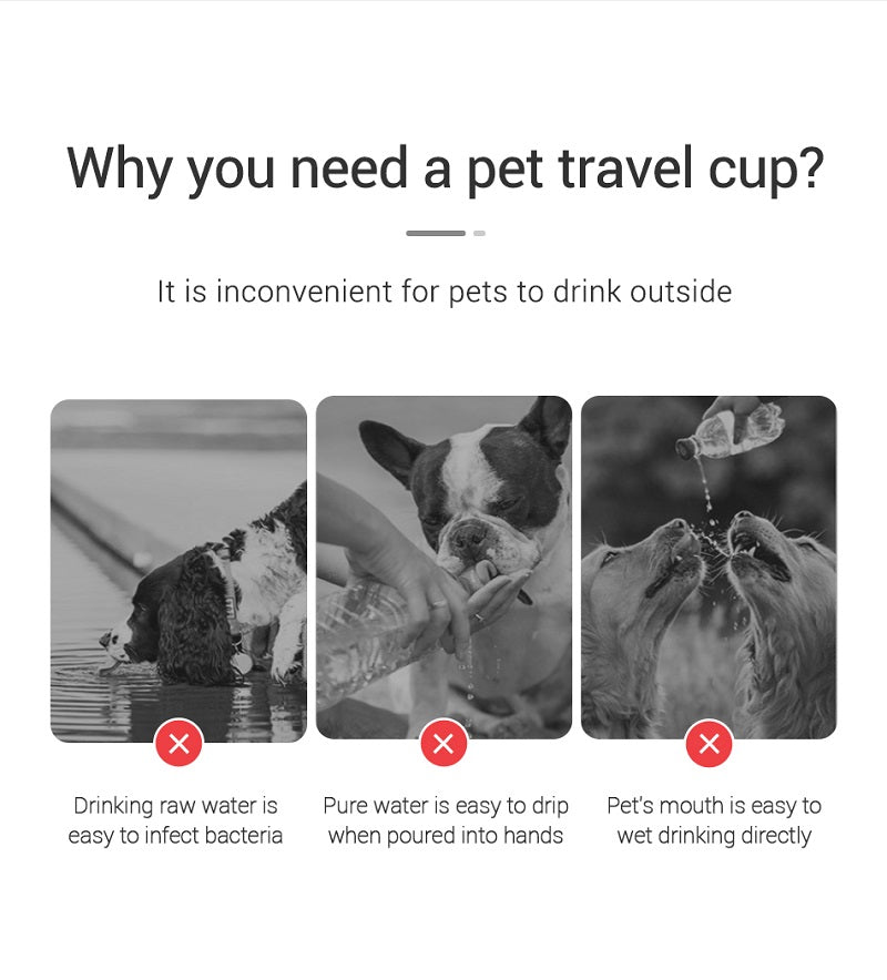 Bebedouro portátil para cães