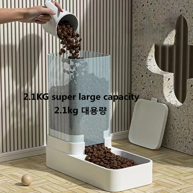 dispensador automático de comida e Àgua para cães