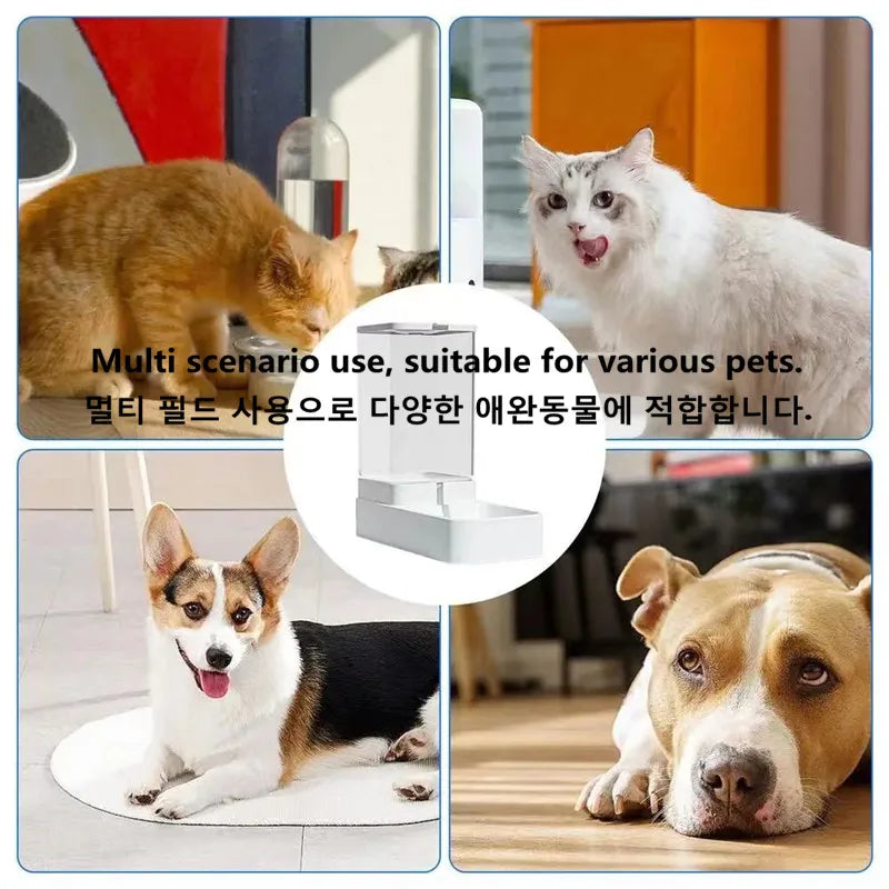 dispensador automático de comida e Àgua para cães