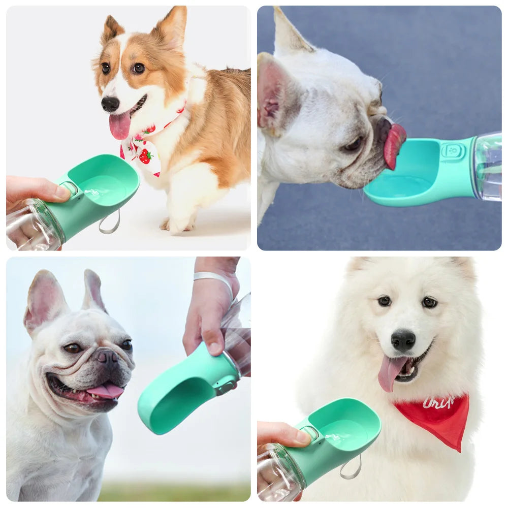 Bebedouro portátil para cães