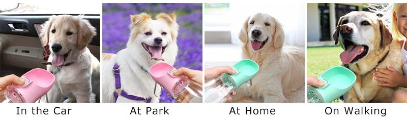 Bebedouro portátil para cães