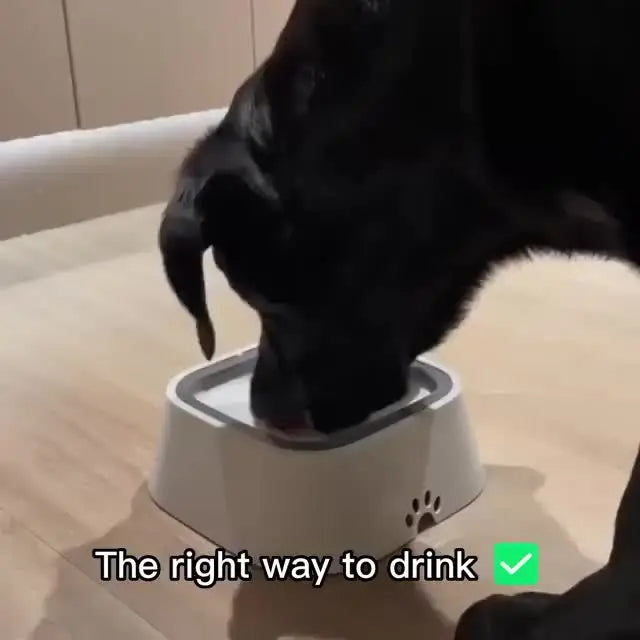 Bebedouro inteligente para cães