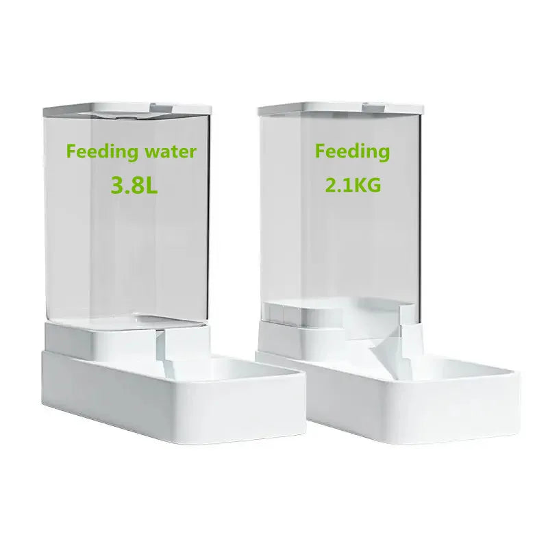 dispensador automático de comida e Àgua para cães