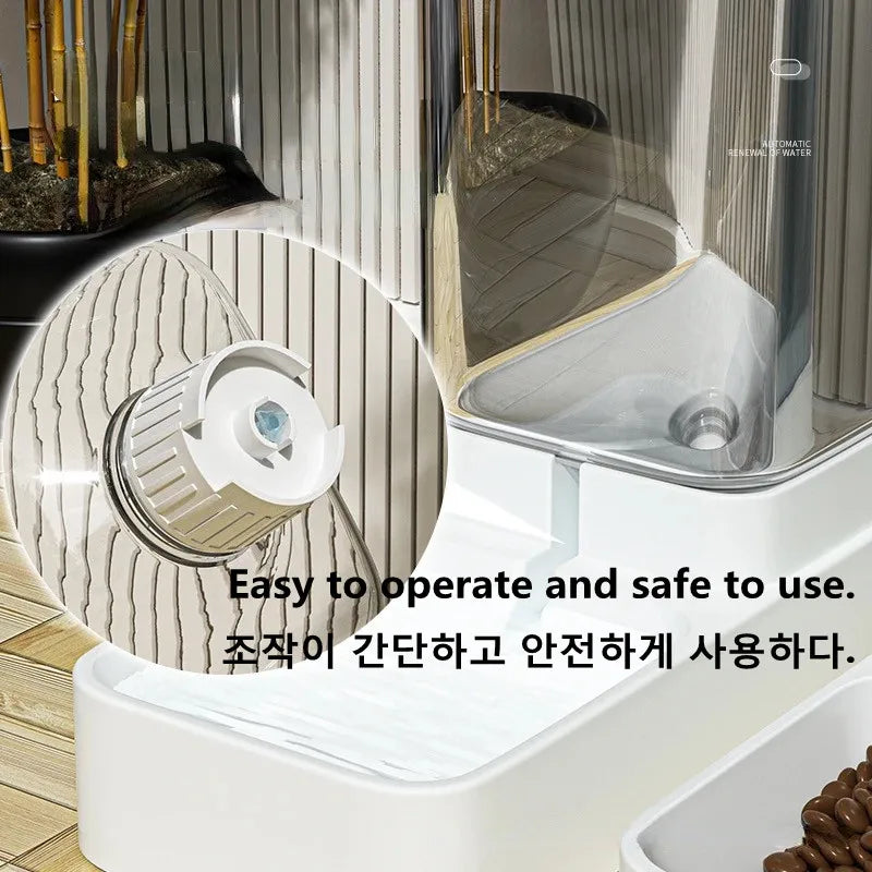 dispensador automático de comida e Àgua para cães