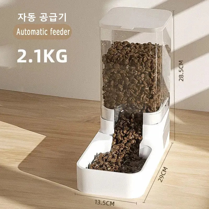 dispensador automático de comida e Àgua para cães